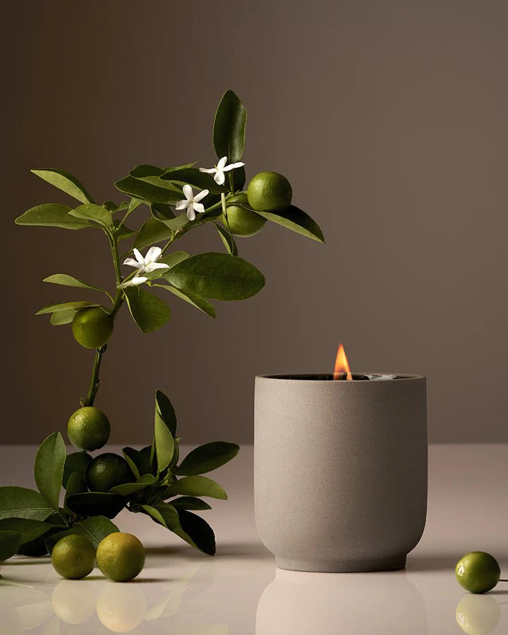 Candle - Image 7