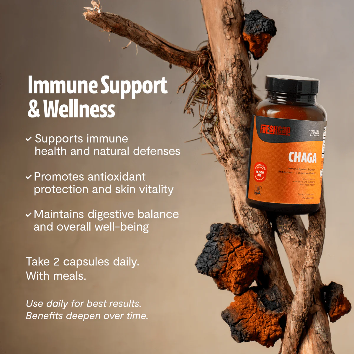 Chaga Mushroom Extract Capsules - Image 10