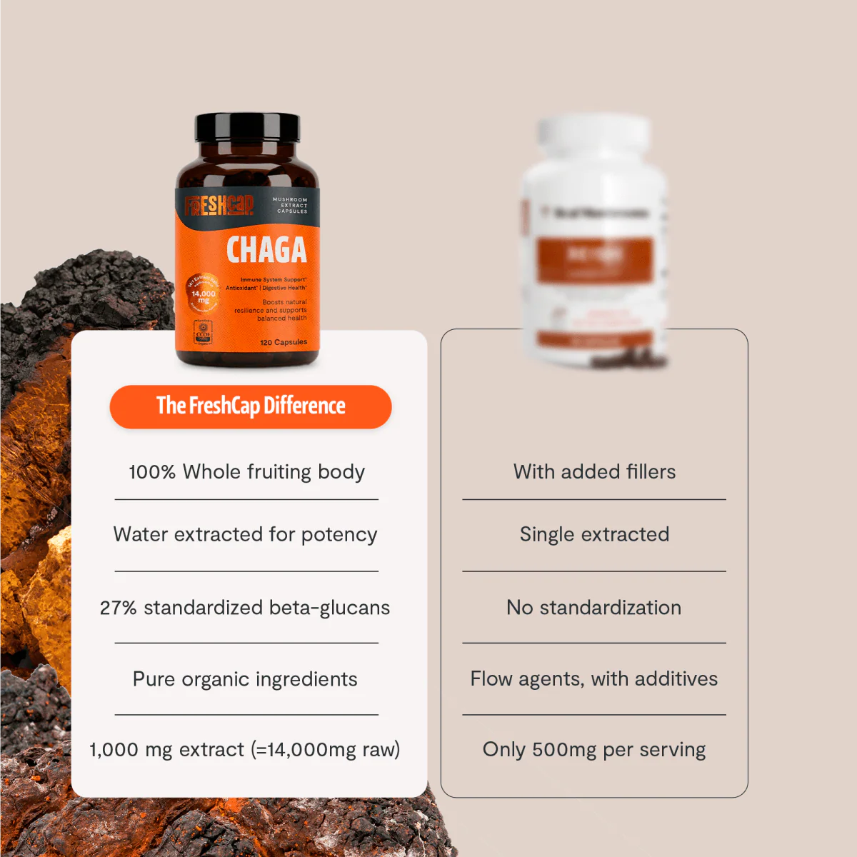Chaga Mushroom Extract Capsules - Image 11