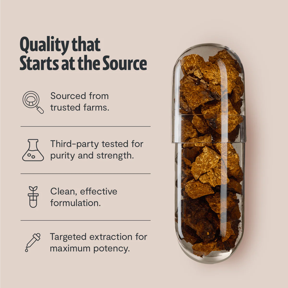Chaga Mushroom Extract Capsules - Image 12