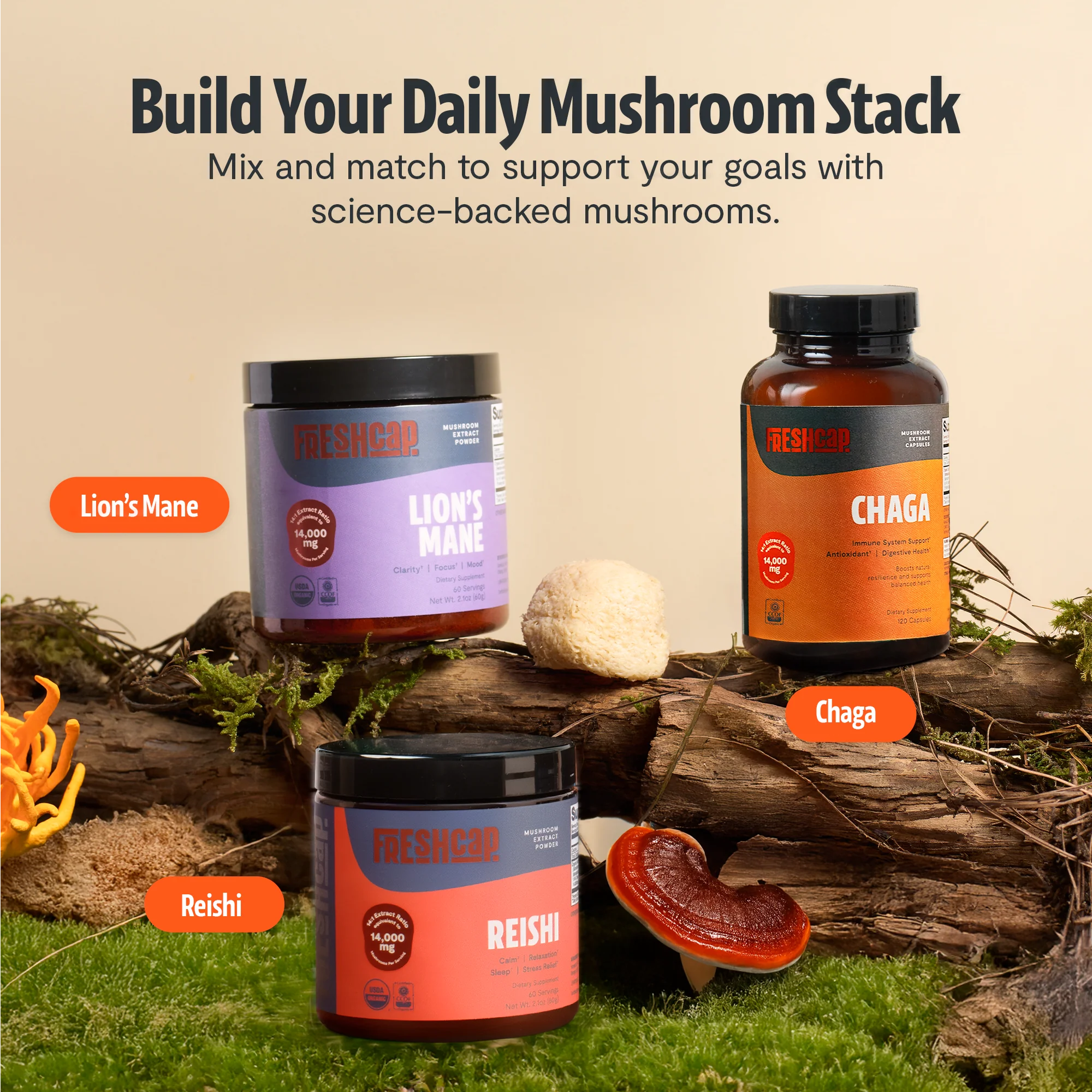 Chaga Mushroom Extract Capsules - Image 8