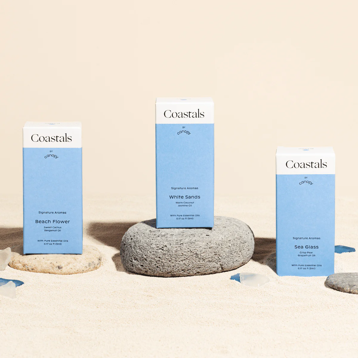 Coastals Aroma Kit - Image 3