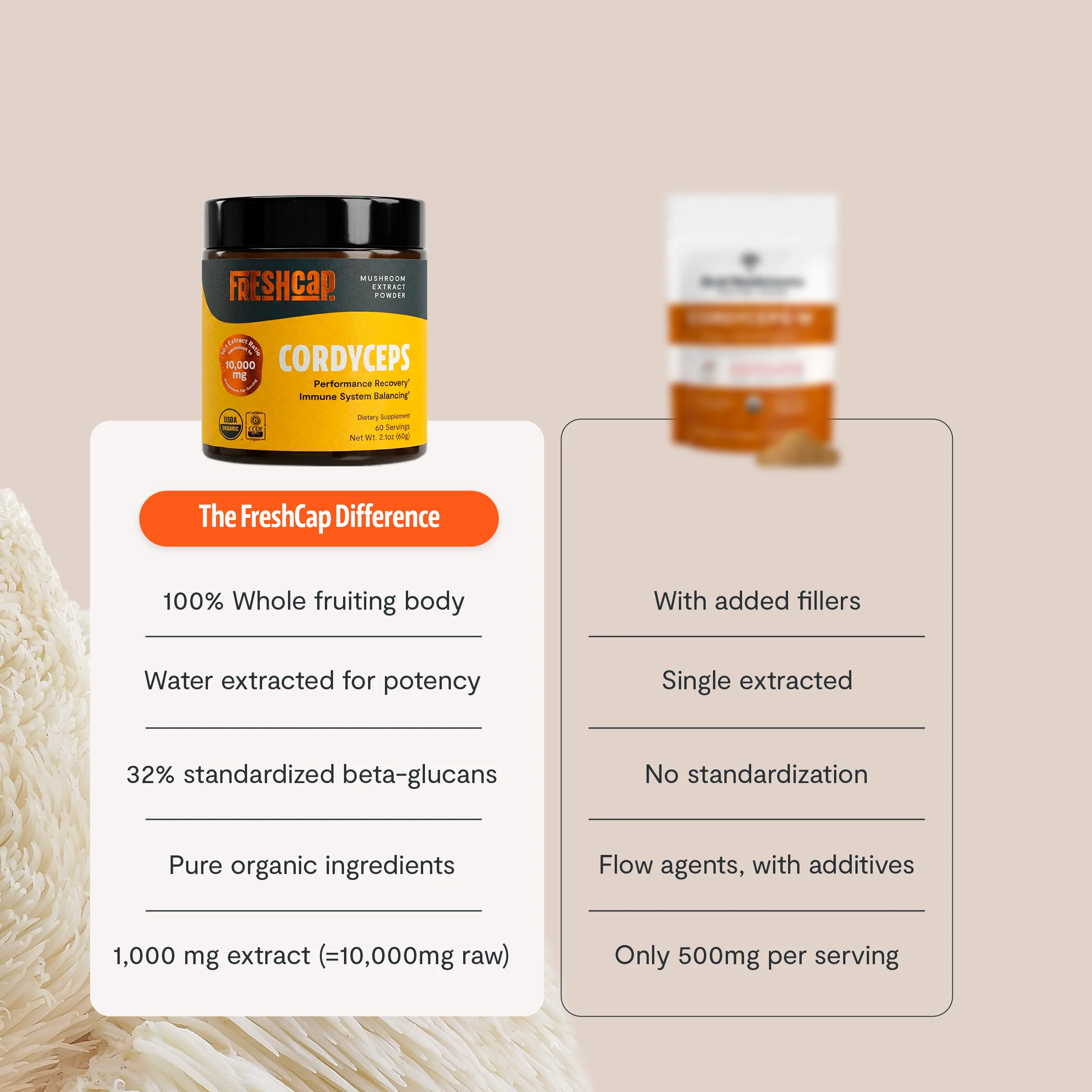 Cordyceps Mushroom Extract Powder - Image 15