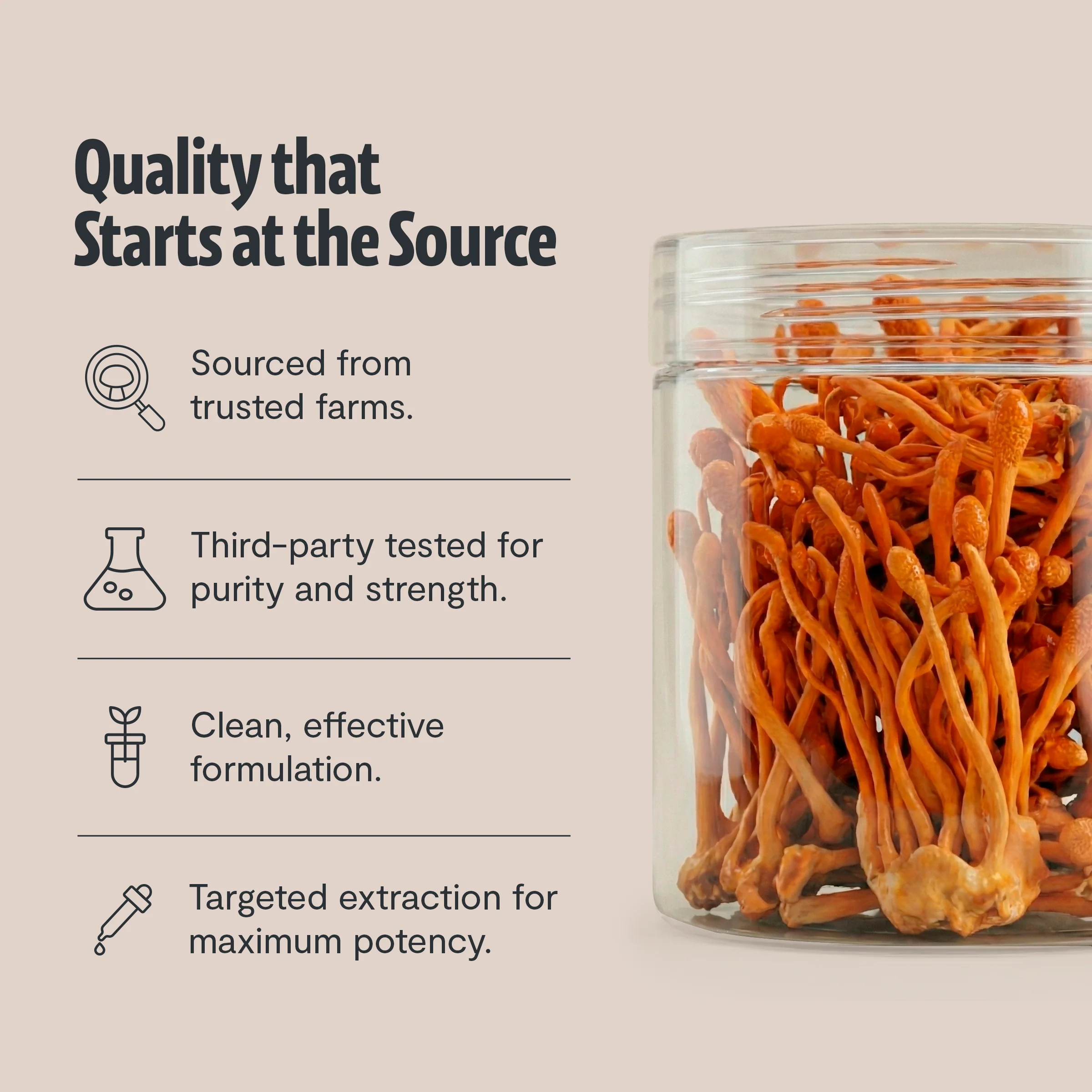 Cordyceps Mushroom Extract Powder - Image 23
