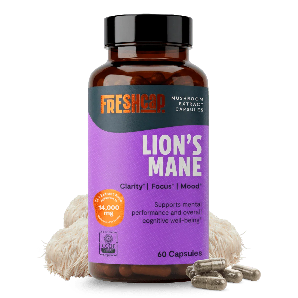 Lion's Mane Mushroom Extract Capsules - Image 18