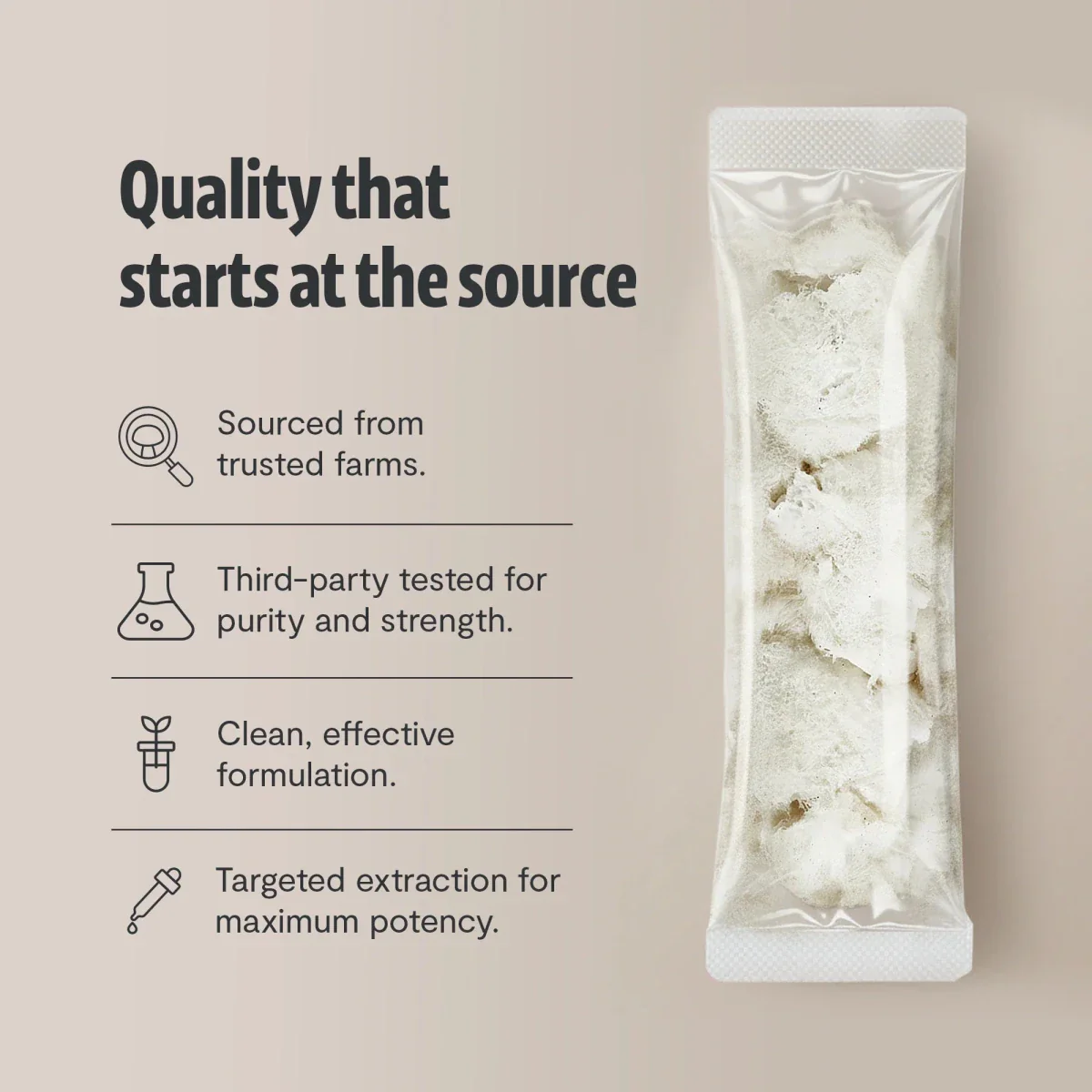 Lion's Mane Mushroom Extract Powder - Image 13