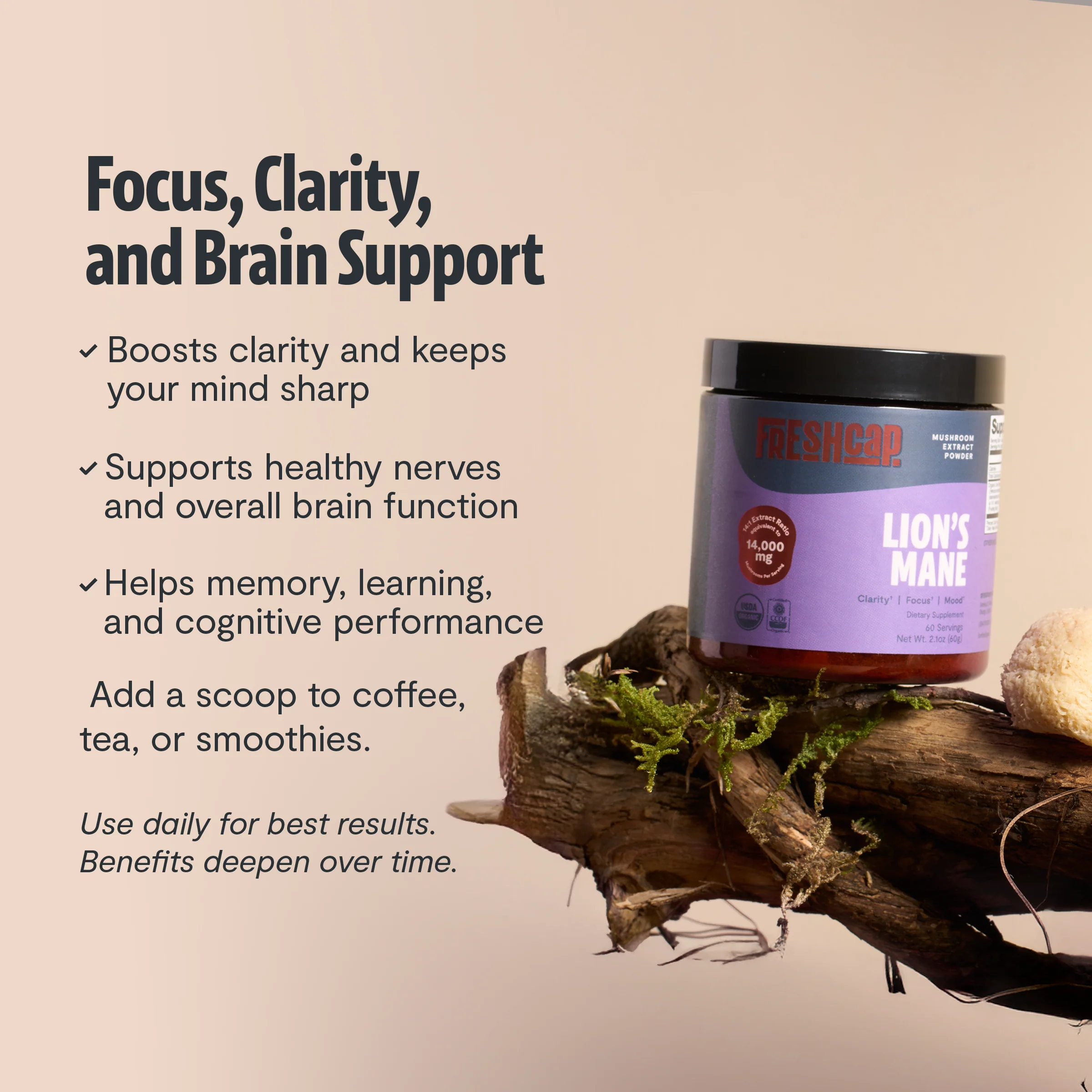 Lion's Mane Mushroom Extract Powder - Image 33