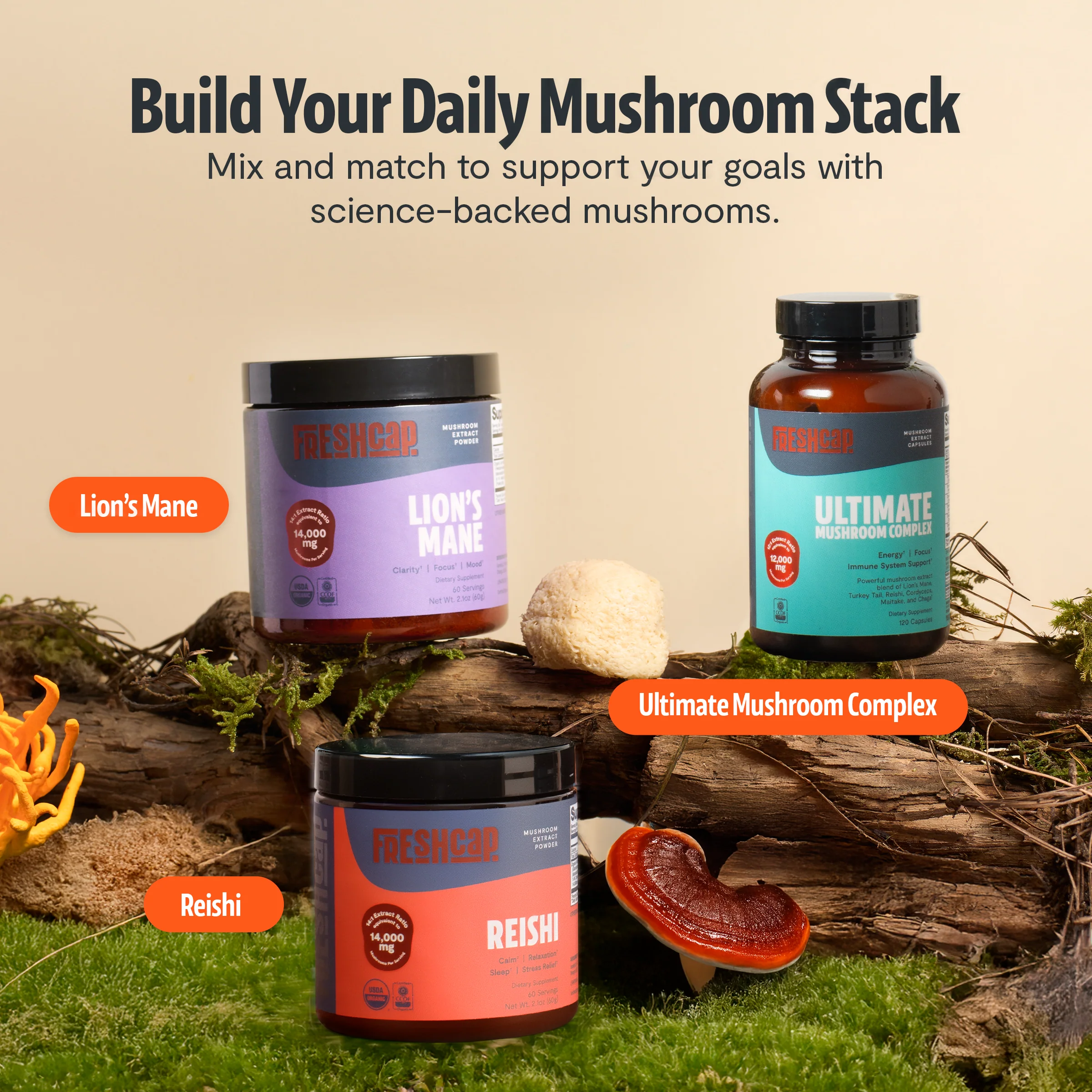 Lion's Mane Mushroom Extract Powder - Image 36