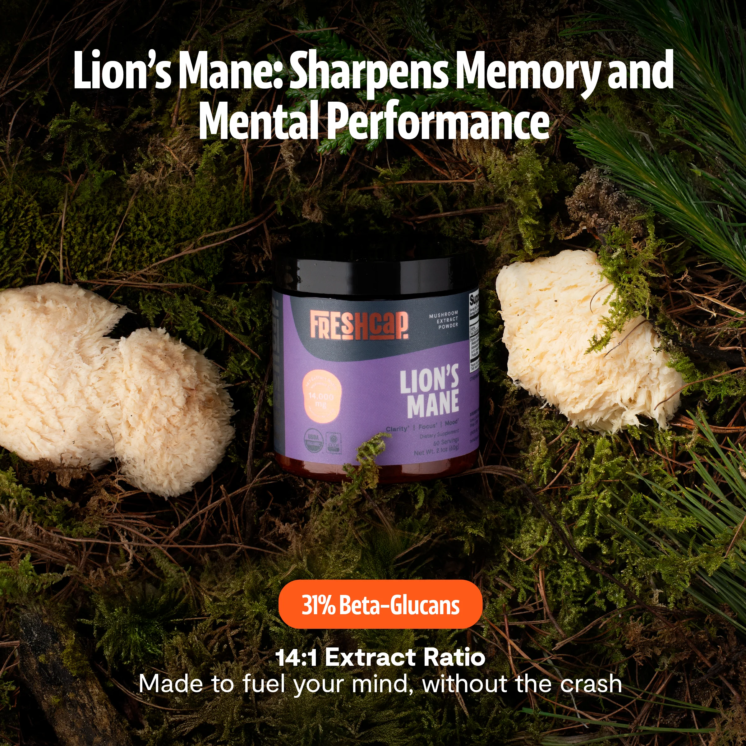 Lion's Mane Mushroom Extract Powder - Image 37