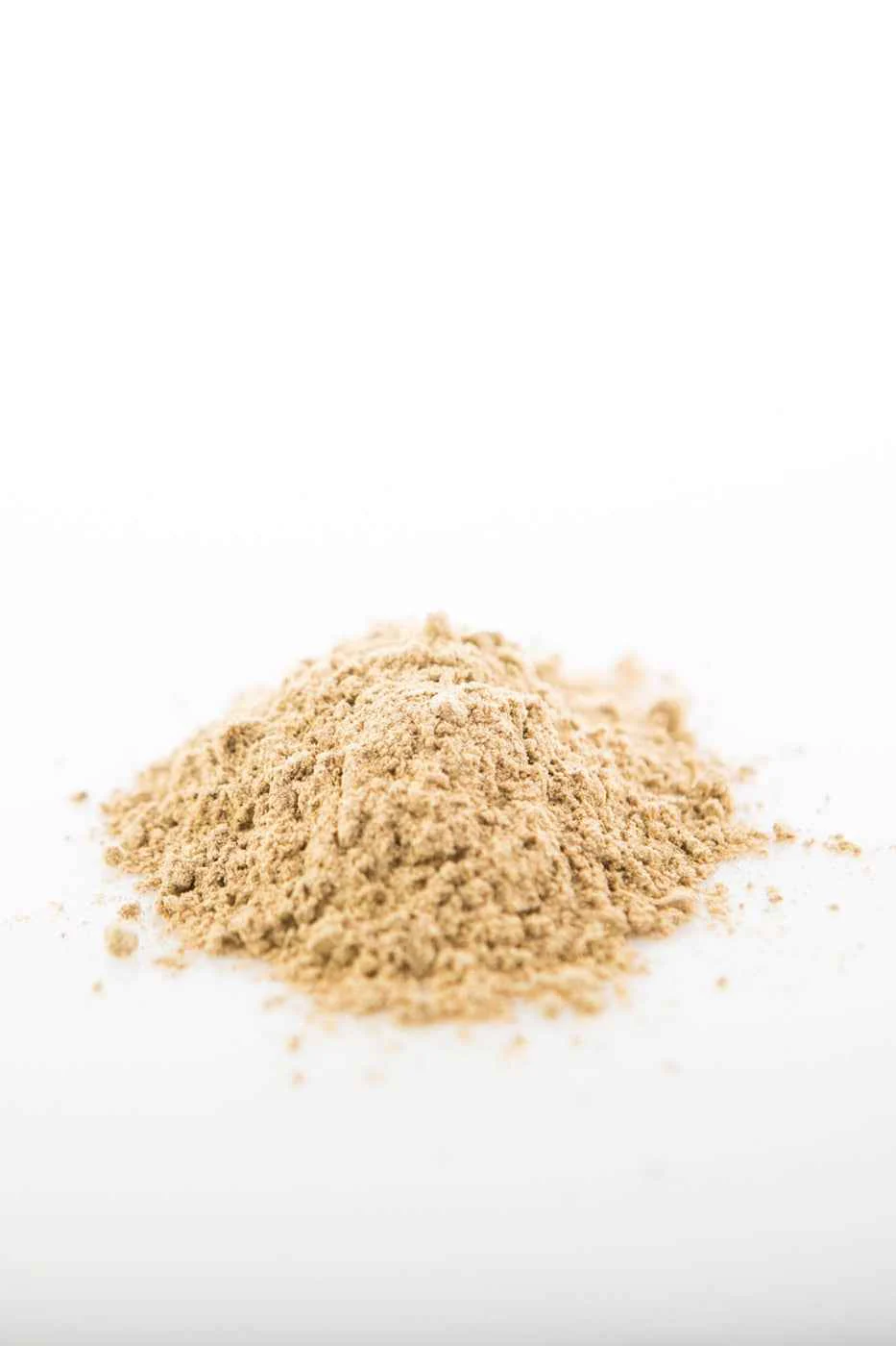 Reishi Mushroom Powder (Organic) - Image 5