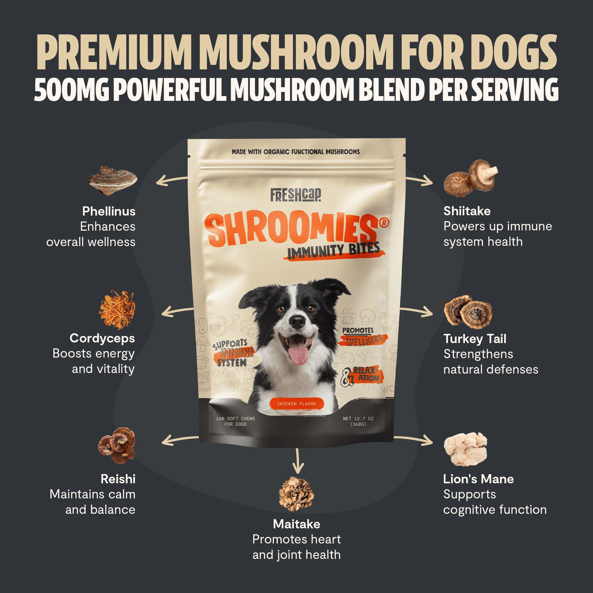 Shroomies® - Mushrooms For Dogs - Image 6