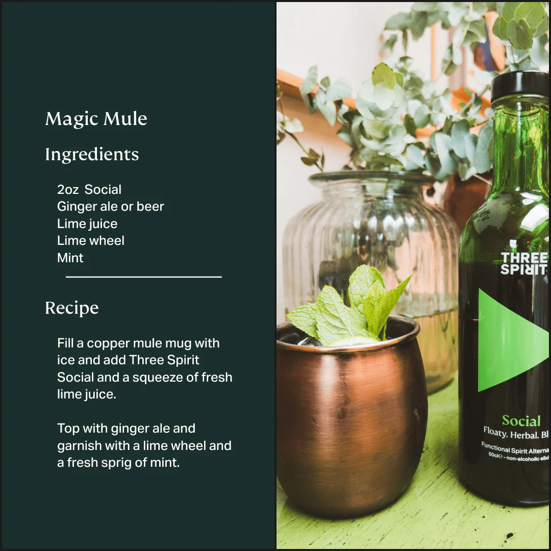 Social • Non-Alcoholic Botanical Elixir • The Mood Maker - Image 3