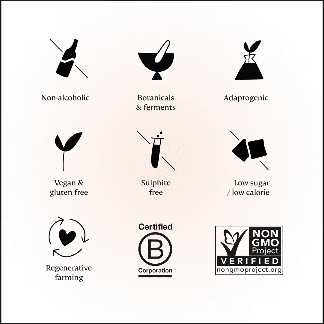 Spark • Non-Alcoholic Sparkling Alternative • The Party Starter - Image 5