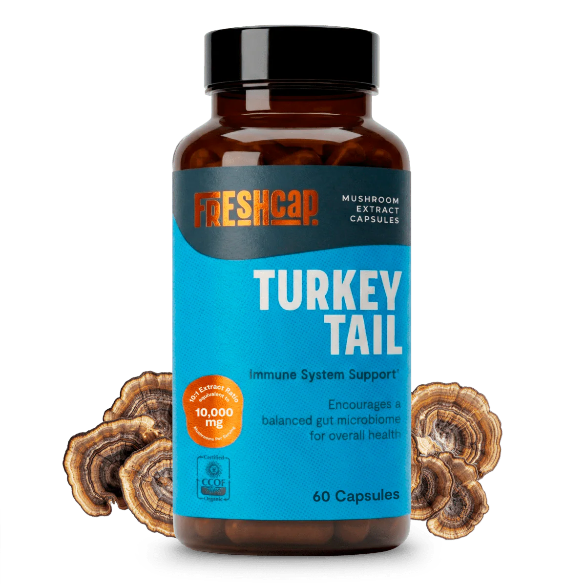Turkey Tail Mushroom Extract Capsules - Image 27