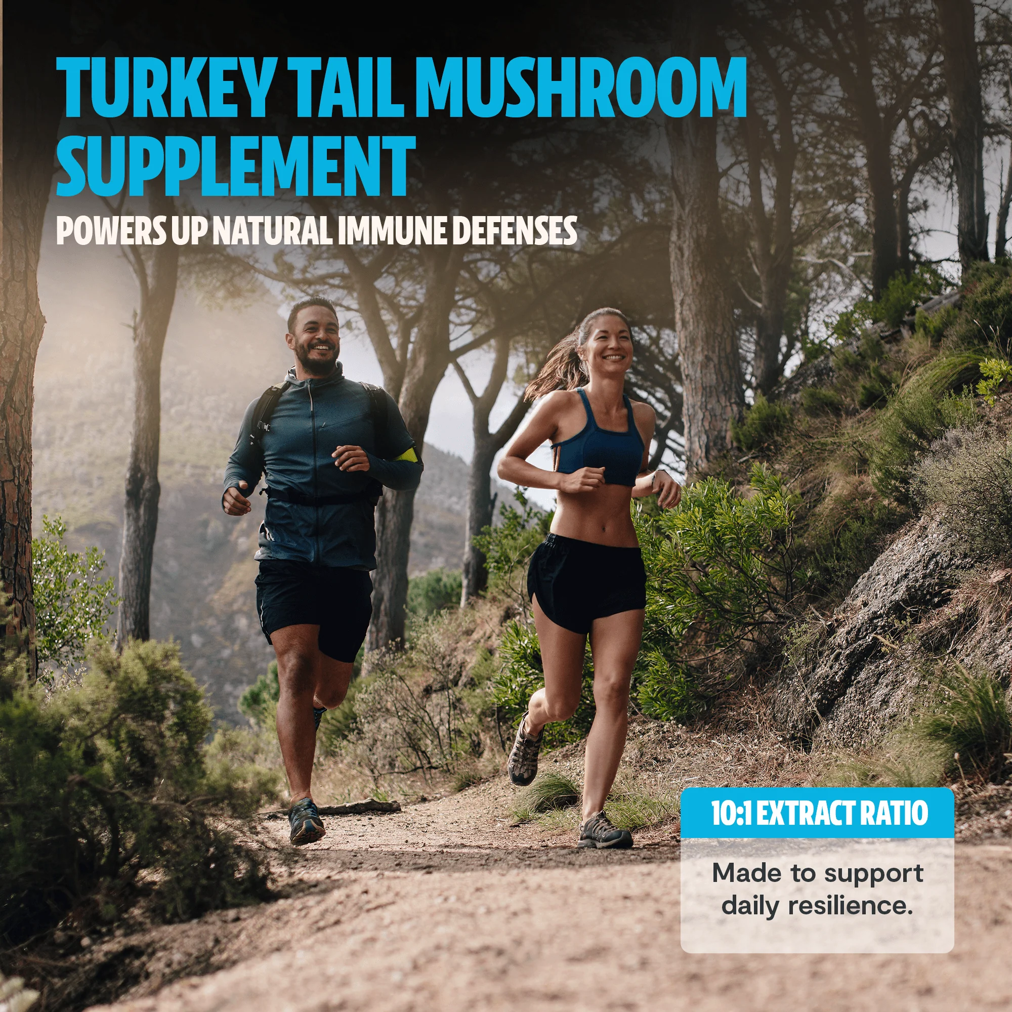 Turkey Tail Mushroom Extract Capsules - Image 7