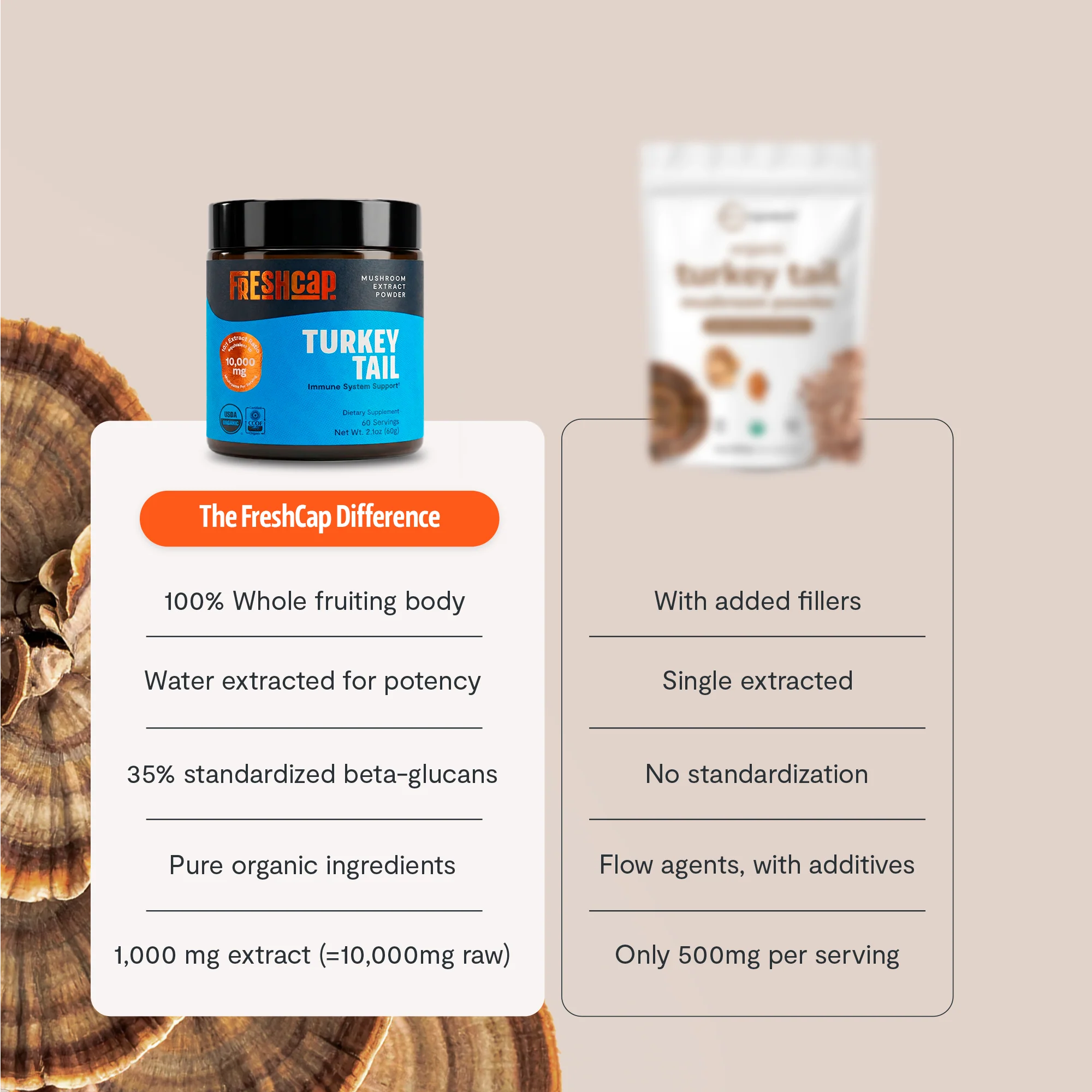 Turkey Tail Mushroom Extract Powder - Image 15
