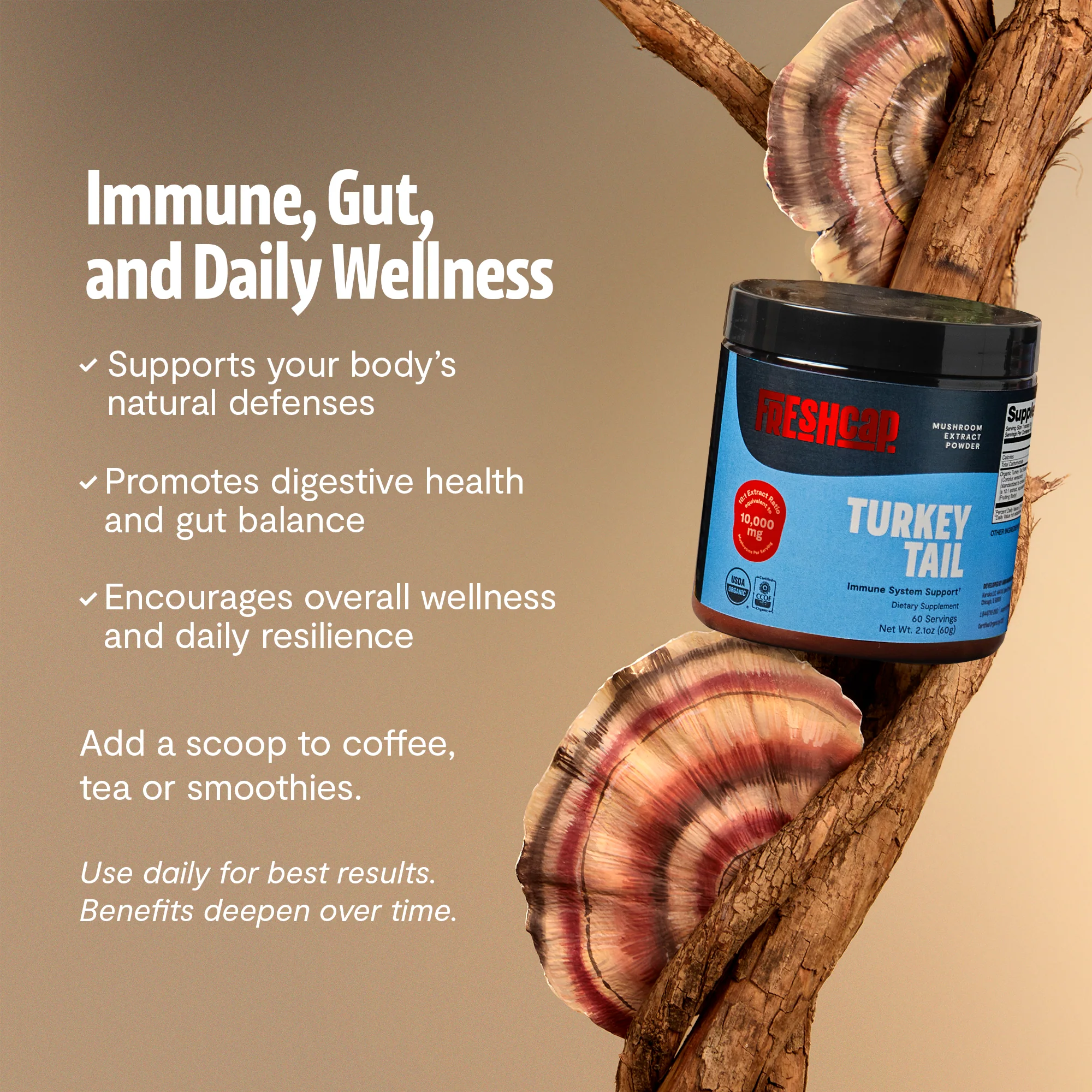 Turkey Tail Mushroom Extract Powder - Image 21