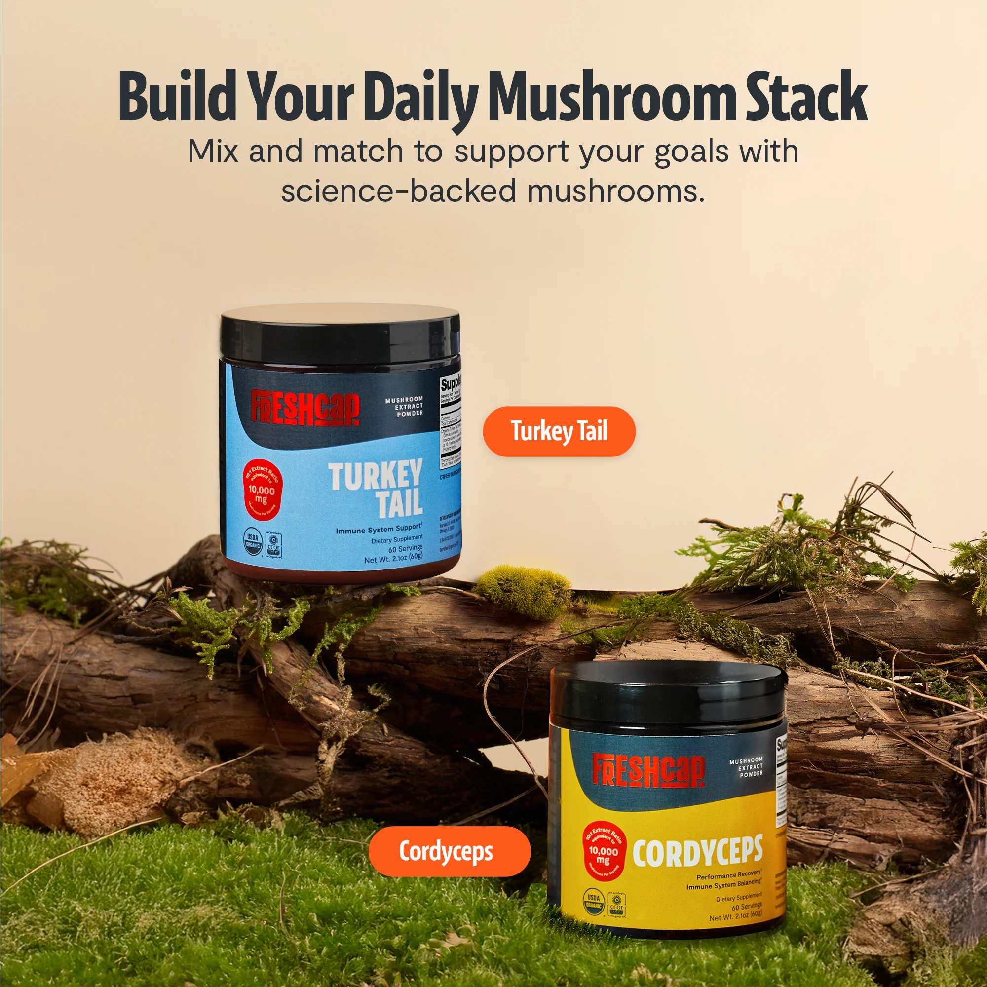 Turkey Tail Mushroom Extract Powder - Image 26