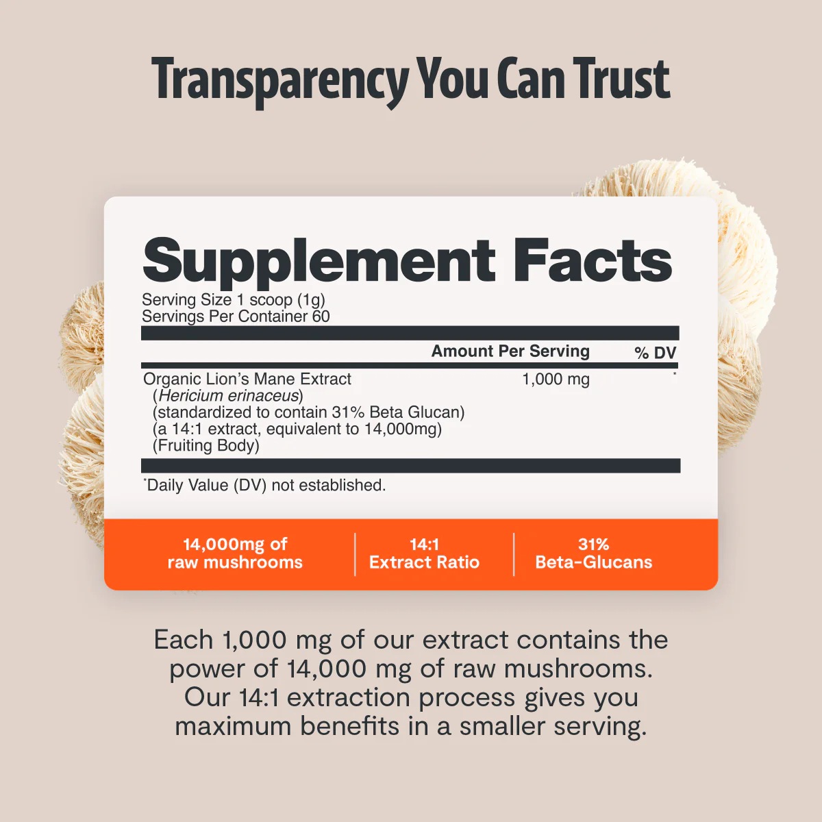 Ultimate Mushroom Complex Capsules - Image 36