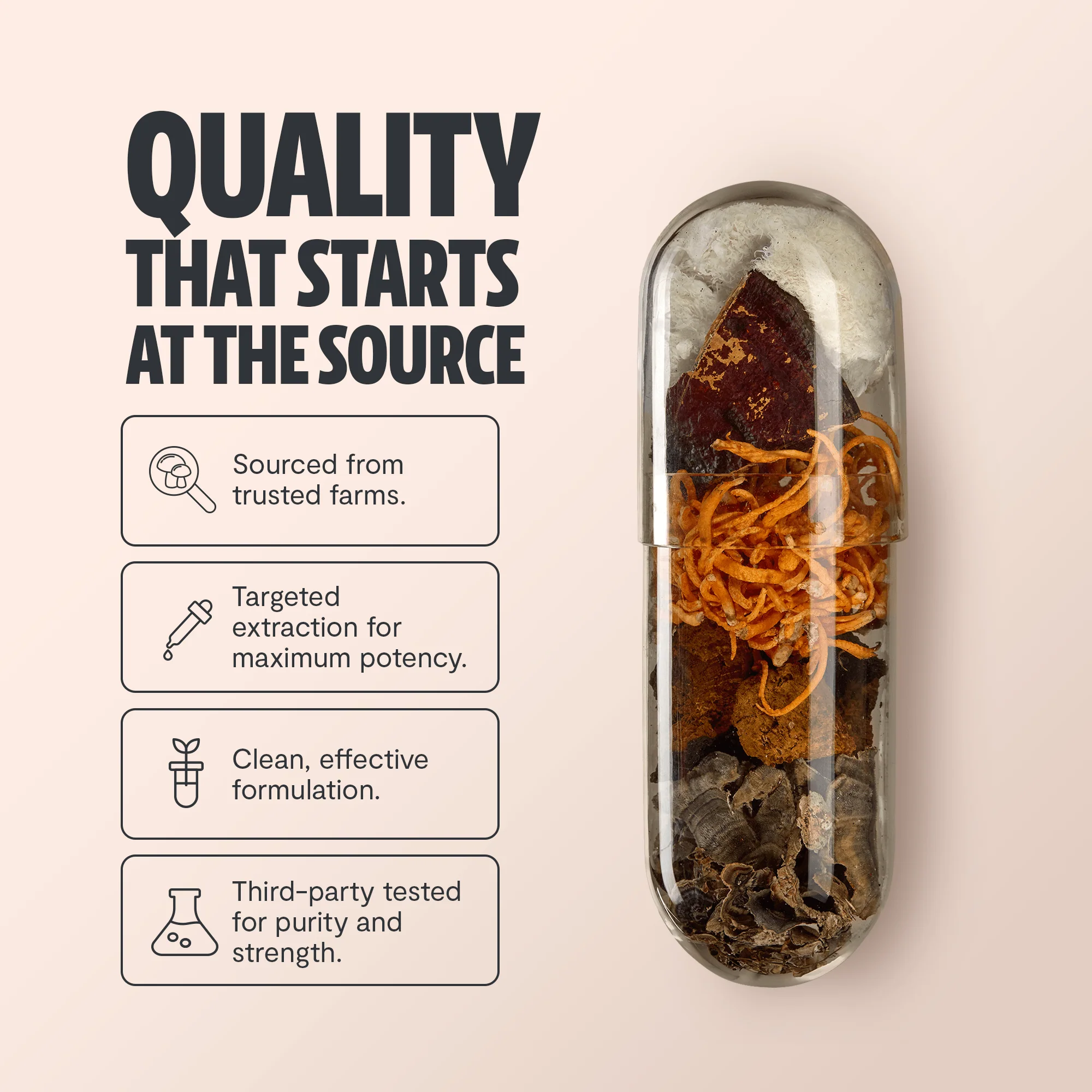 Ultimate Mushroom Complex Capsules - Image 6