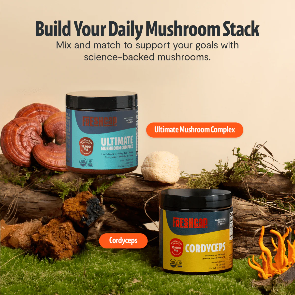 Ultimate Mushroom Complex Powder - Image 21