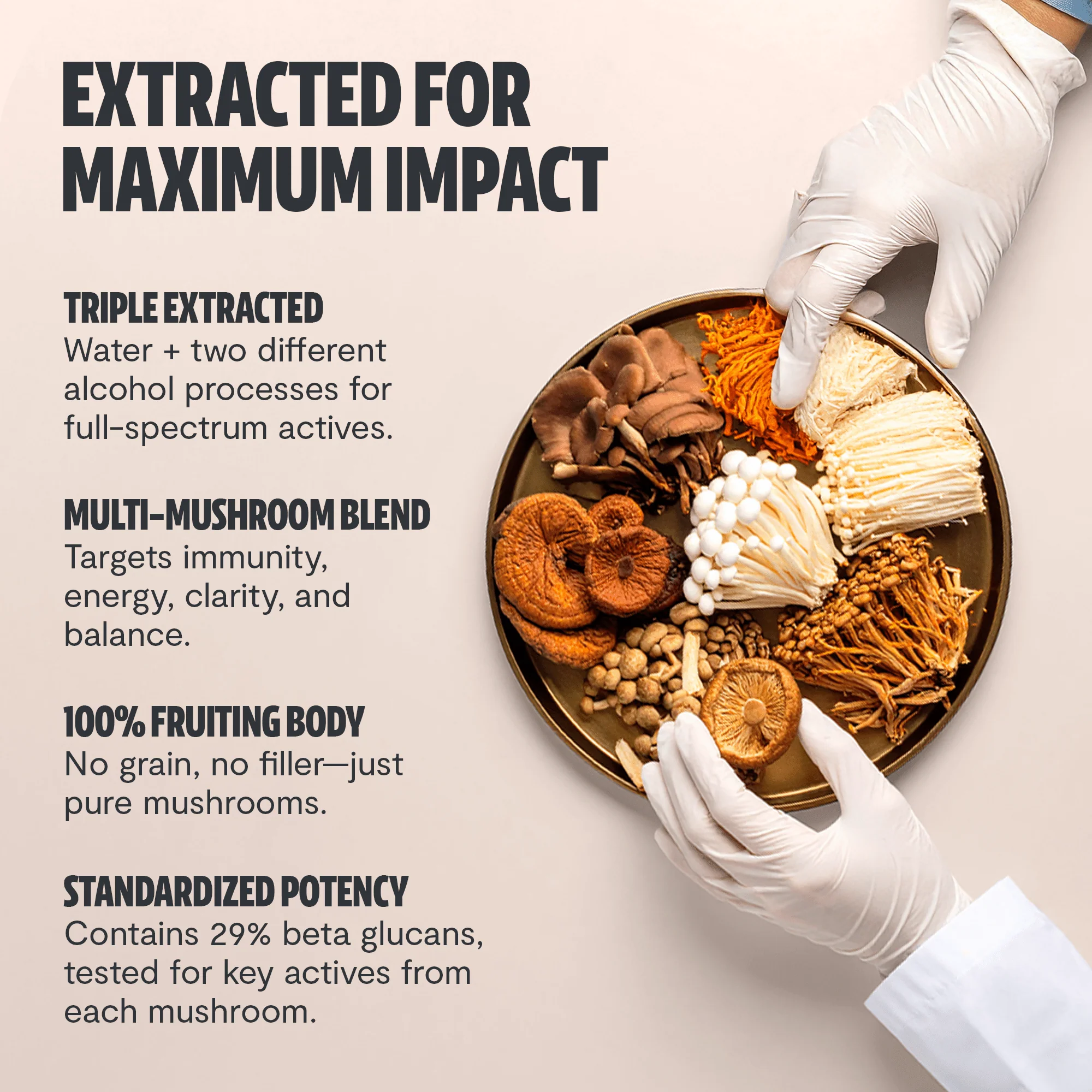 Ultimate Mushroom Complex Powder - Image 5